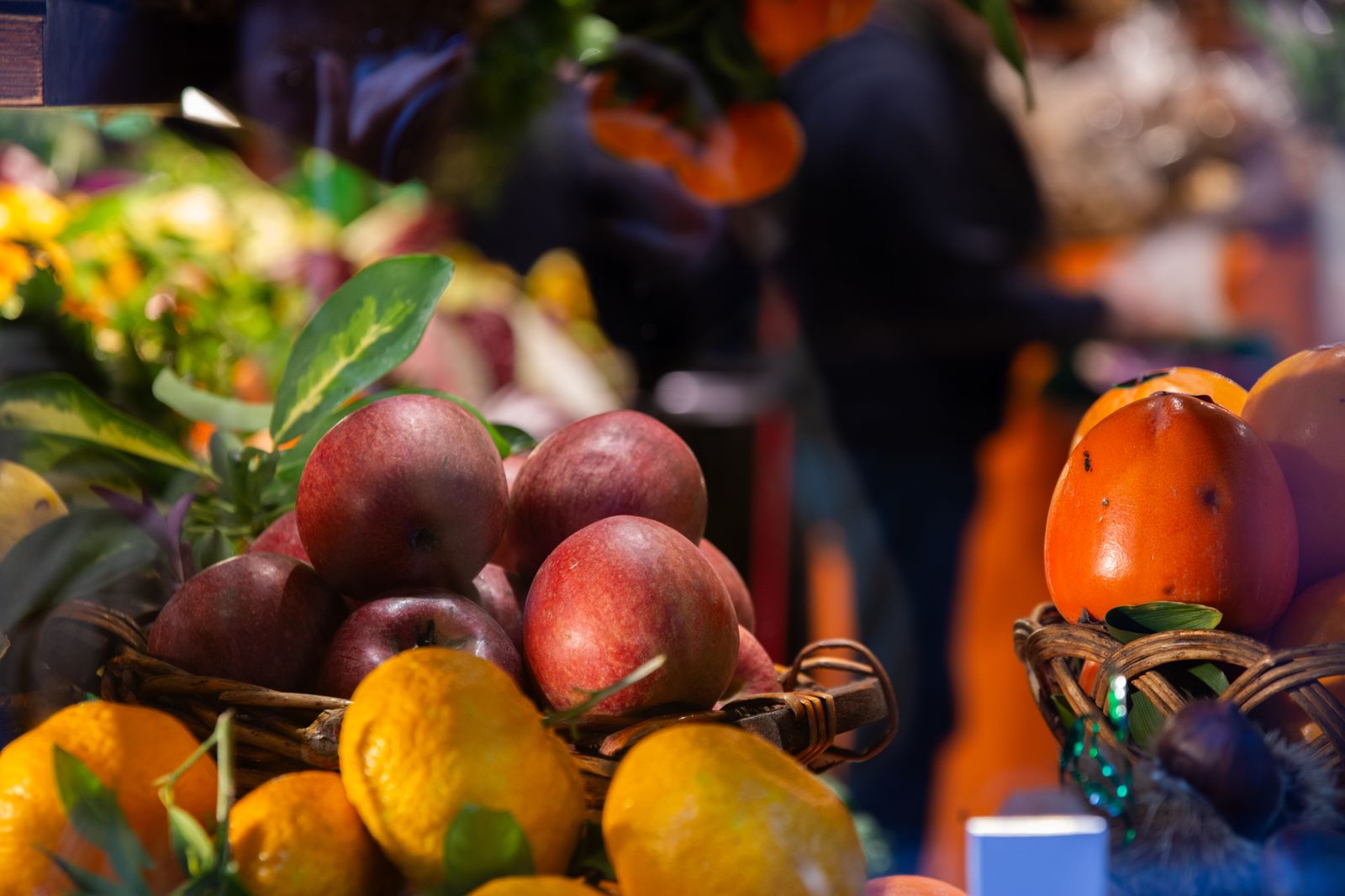 Galleria Castiglione