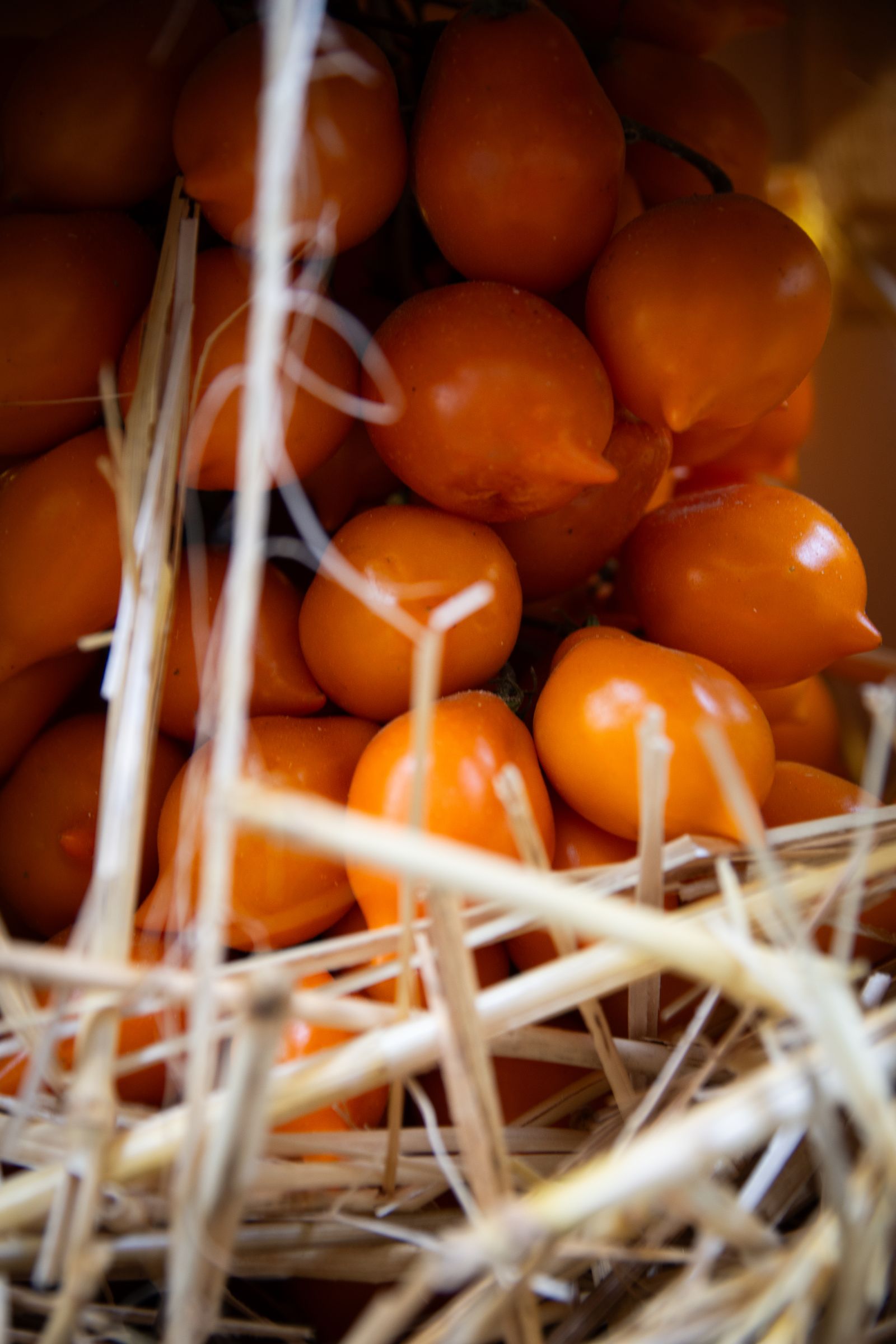 Pomodoro del Piennolo