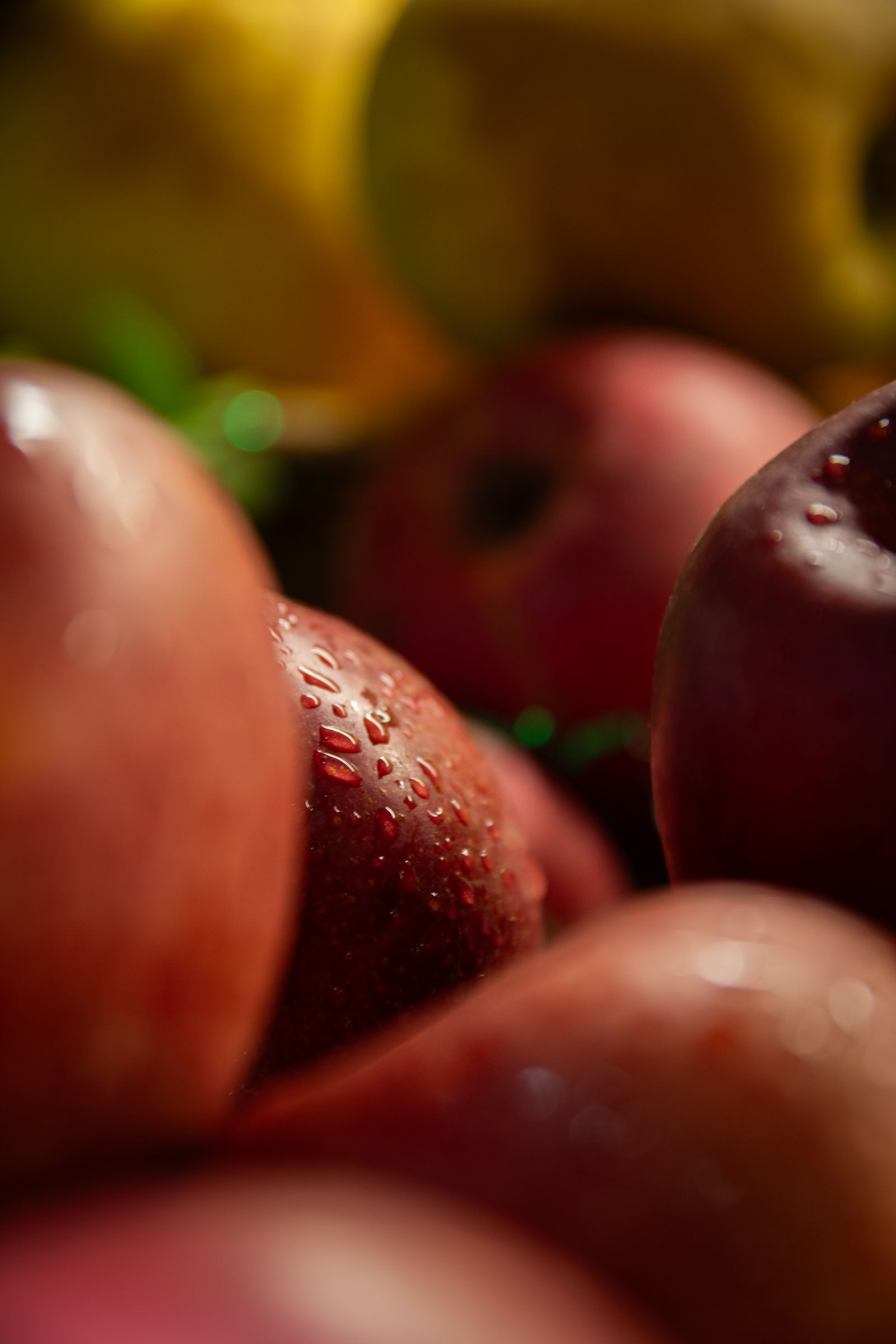 Galleria Castiglione