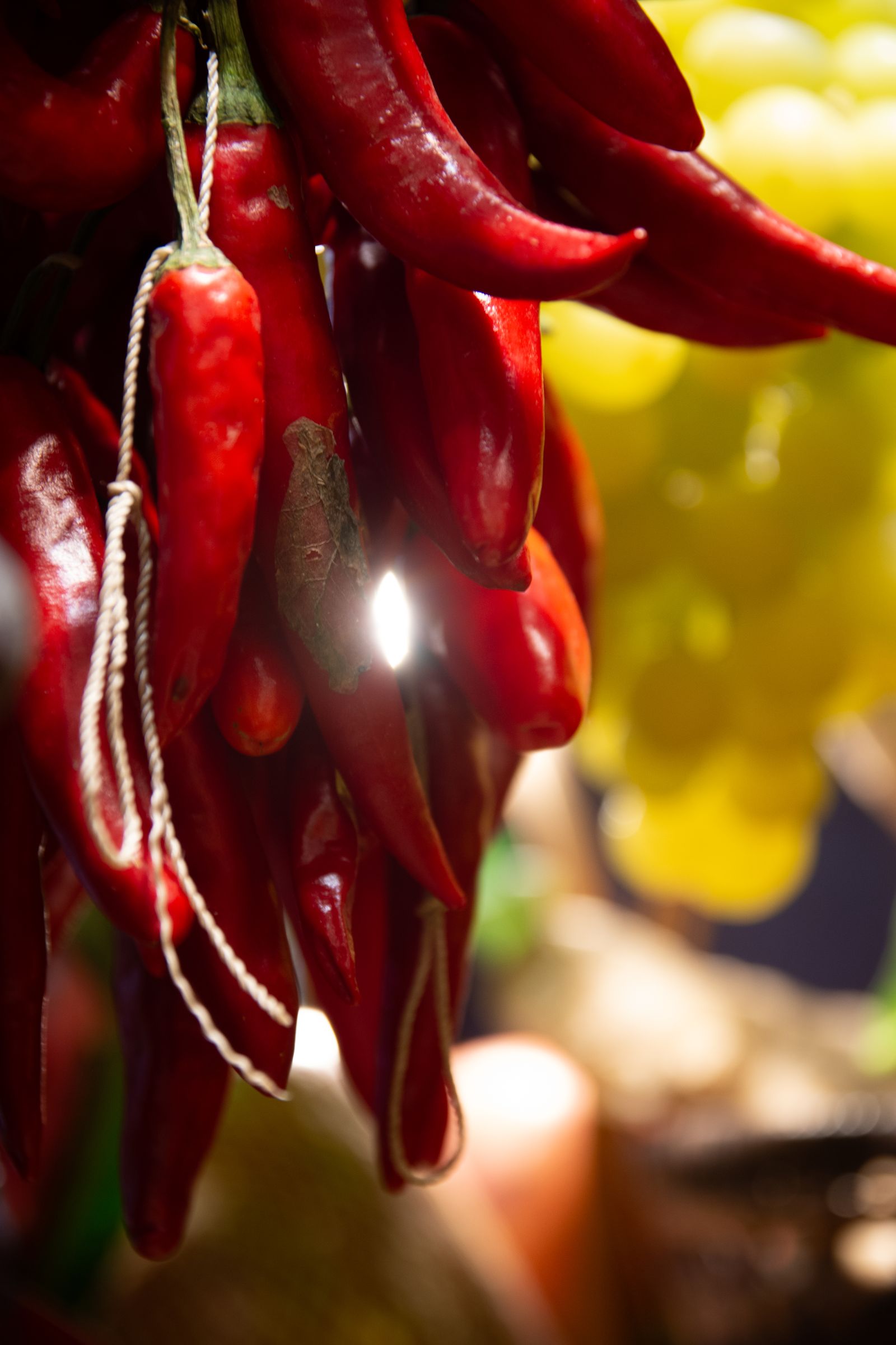 Peperoncino